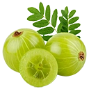Amla